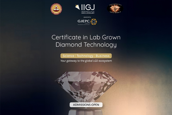 iijg_iit_lgd_course